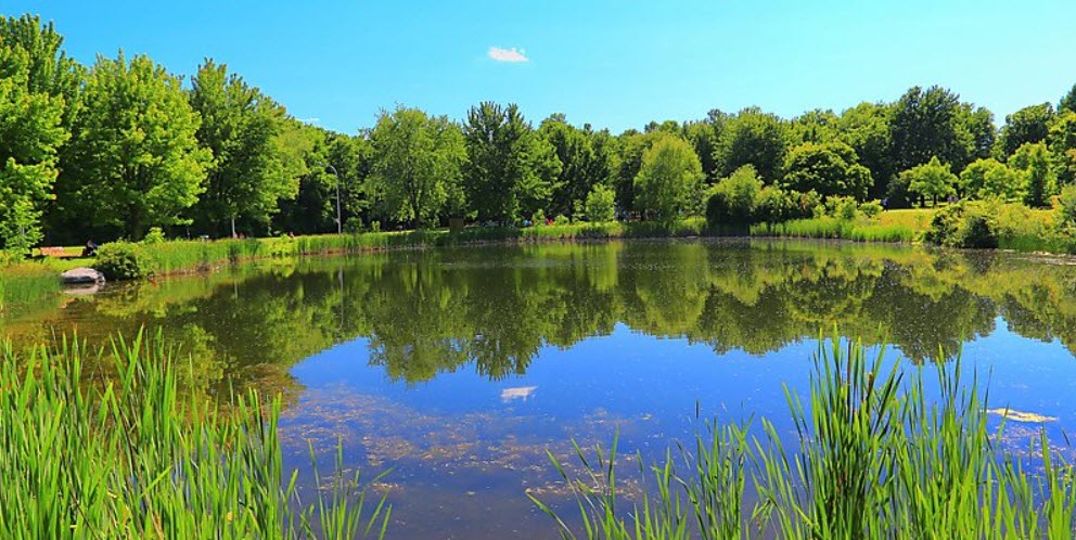 Montreal Angrignon Park