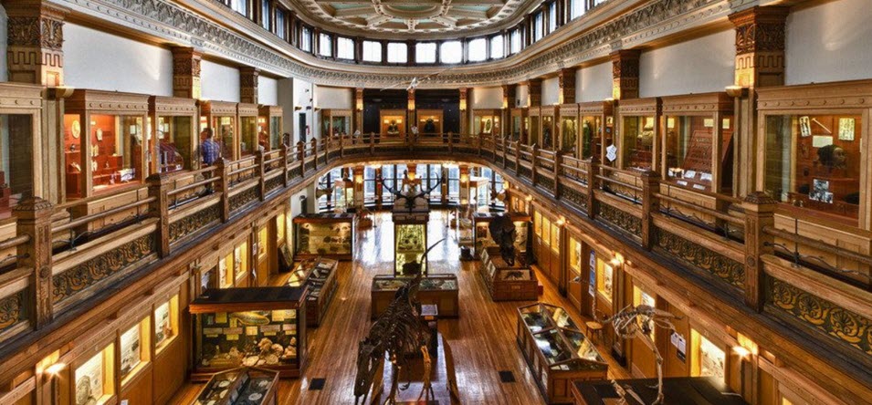 Montreal Redpath Museum